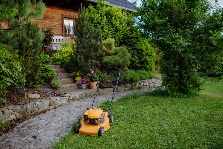 Müheloses Rasenmähen für einen gepflegten Garten